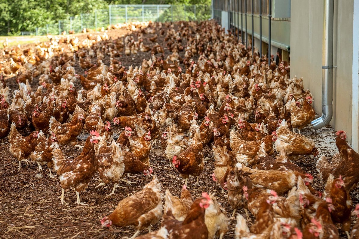 Фото взято из открытых Интернет-источников