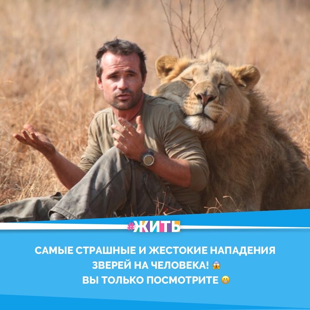 Животные с помощью эмоций способны рассказать даже больше, чем если бы умели говорить. Достаточно взглянуть на своего питомца, чтобы понять, шокирует ли кота ваше поведение или ждет ли вас месть после того, как пес выберется из ванны😂

Посмотрите нашу фотоподборку и попробуйте не улыбнуться, глядя на эти страшные направления животных на человека☝️😃

Мы надеемся, что эти эмоциональные животные поднимут настроение и сделают ваш день лучше❤️

#жить #проектжить #животные