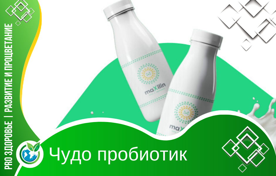 5 probiotics shampoo. Натуральный пробиотик максилин. Максилин Энерджи Макс. ENERGYMAX продукция. ENERGYMAX продукция максилин.