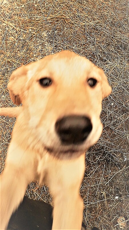 Это Ягель. Ему кажется, что он обрел Хозяина