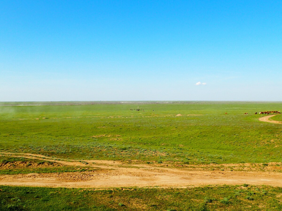 Полупустыня в апреле. Фото автора.