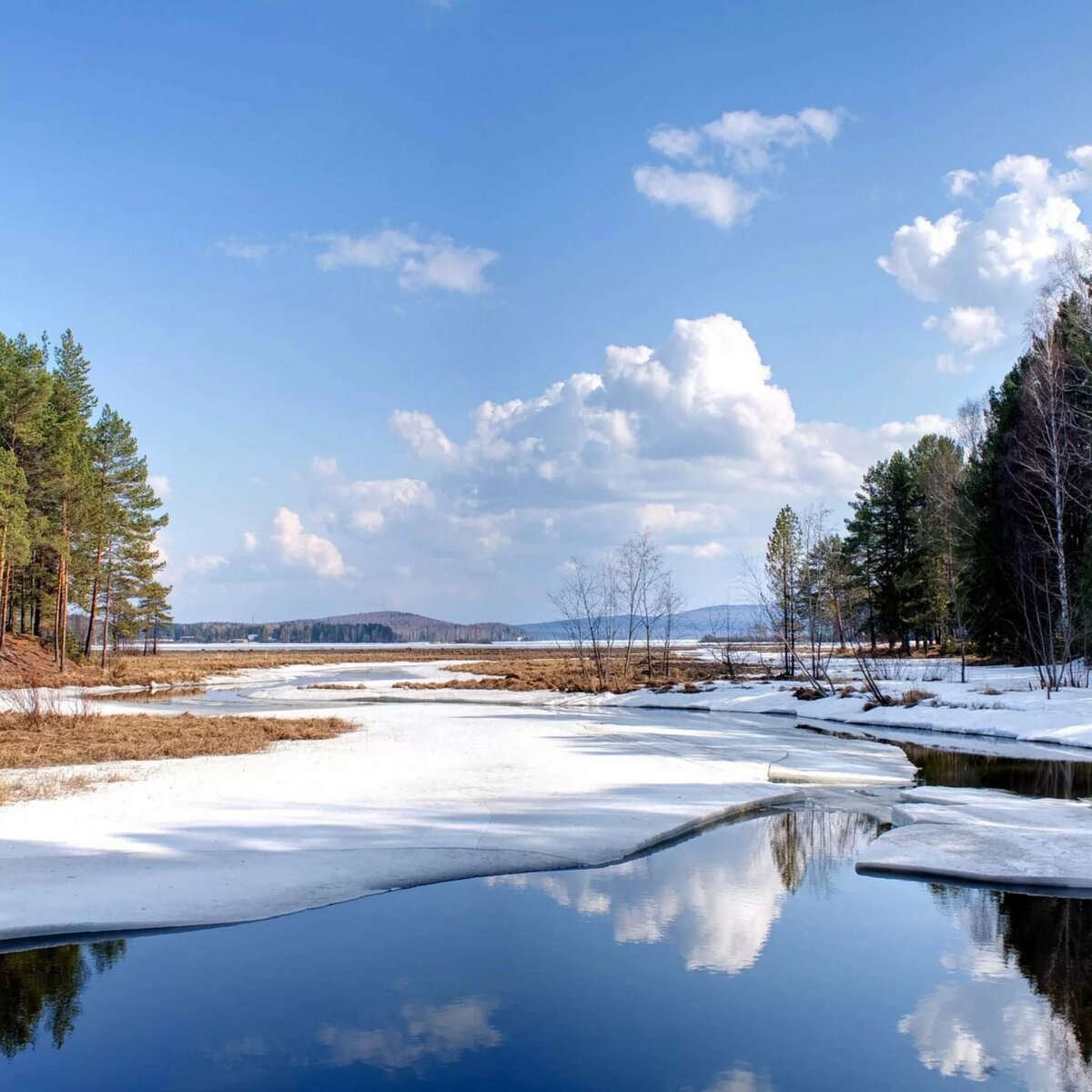 Яндекс картинки 