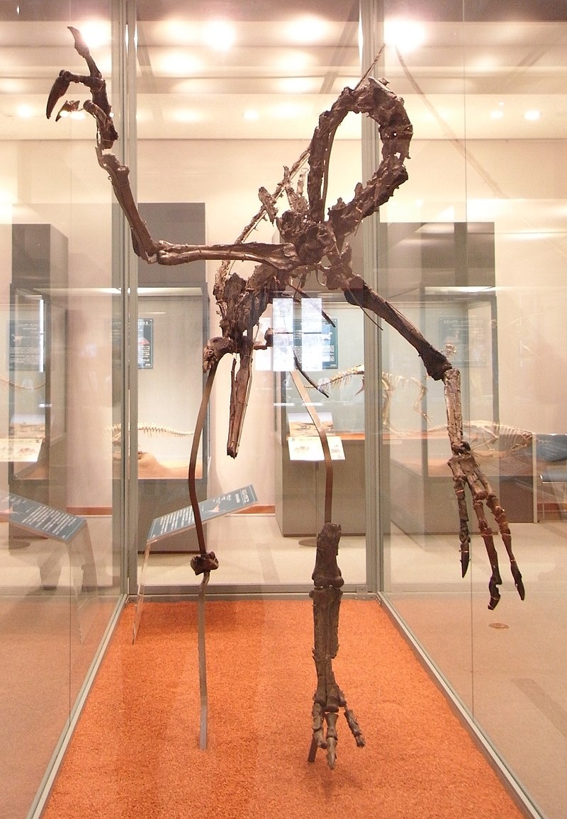 Образец голотипа