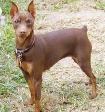 Фото из интернета