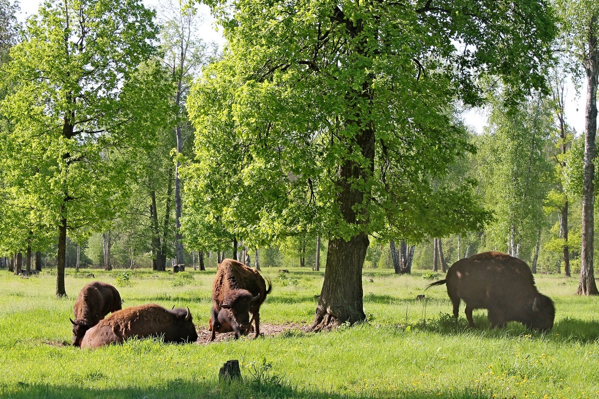 источник: интернет