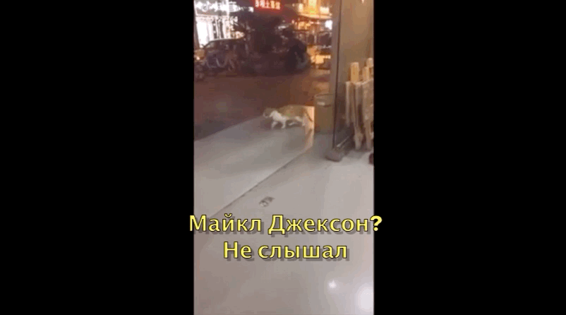 Лунная походка в деле