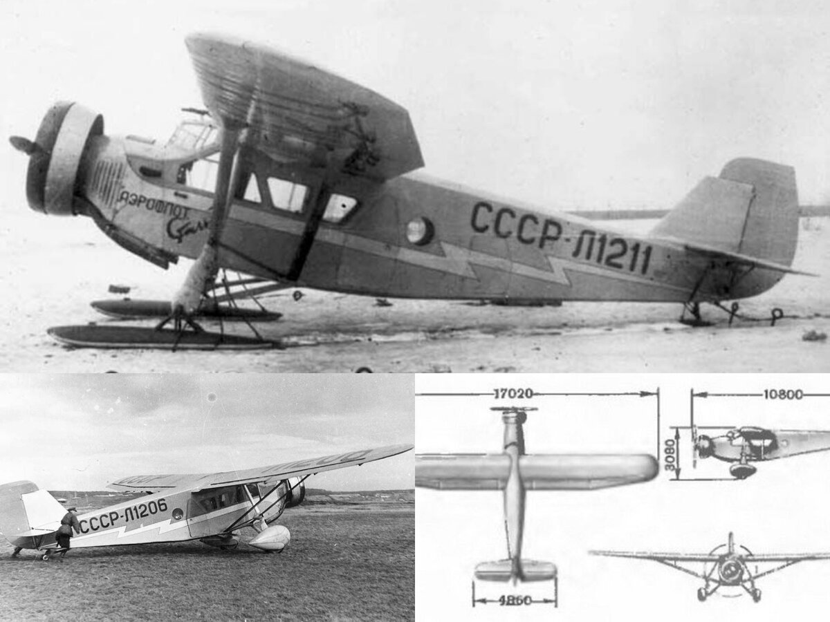 фото взяты из открытых источников