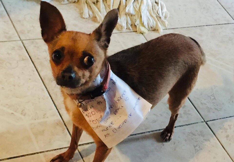 Их Интернета