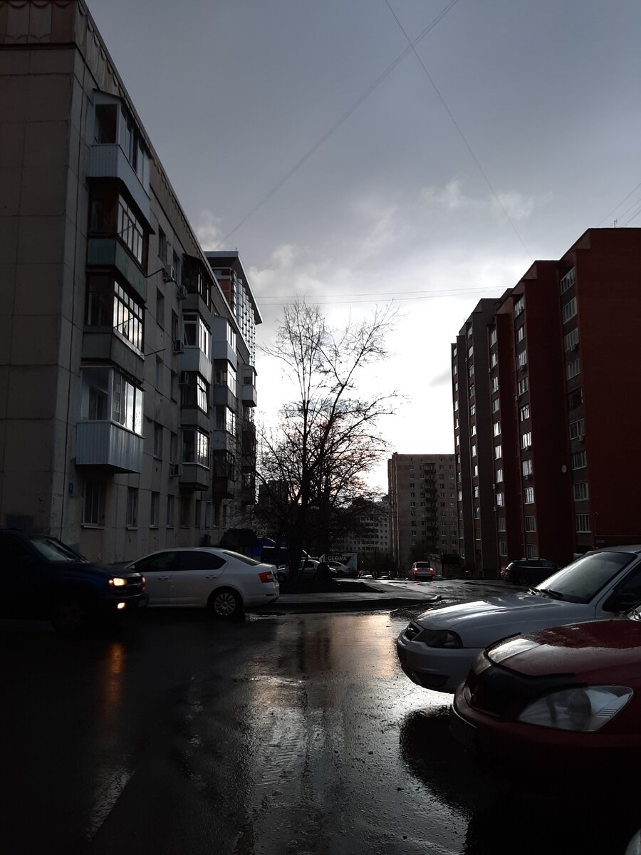 Улица Зеленой рощи