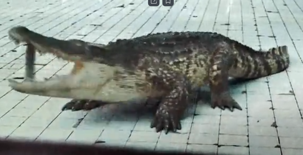 кадры из фильма бассейн