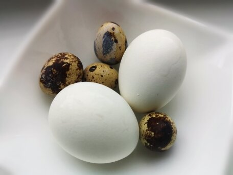 Куриные яйца, как сварить вкрутую. Идеальный рецепт