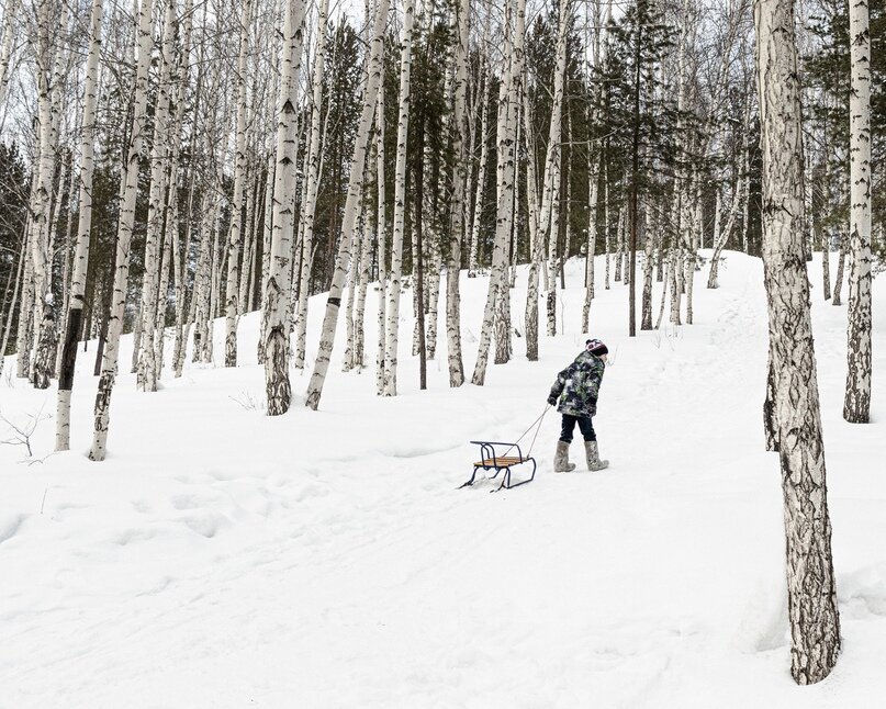 Автор: Елизавета Григорьева / https://vk.com/letelgorel