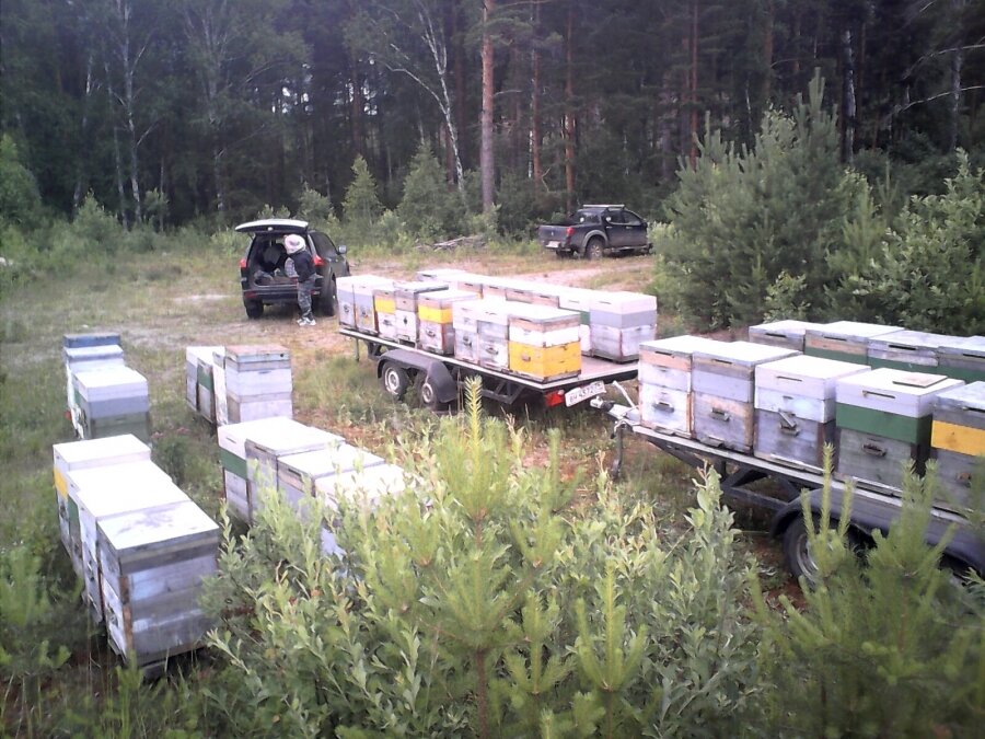 Пчеловод автобус. Кочевая пасека полуприцеп. Прицеп для пасеки. Автомобиль для пасеки. УАЗ пасека.