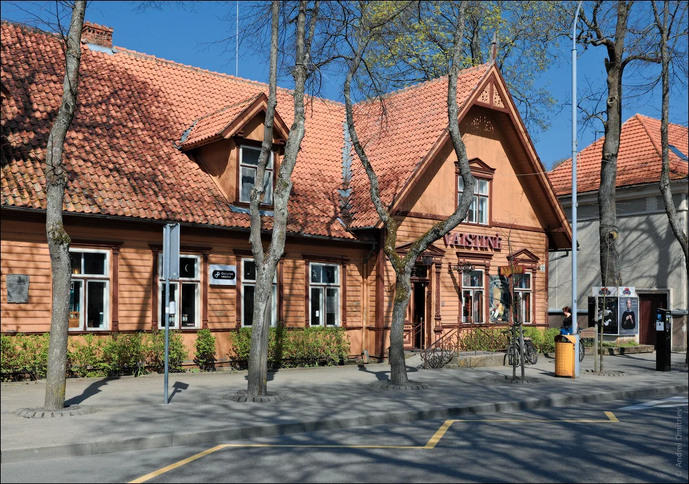 Паланга. Автор: fotobrodilki. Источник: https://fotobrodilki.livejournal.com.