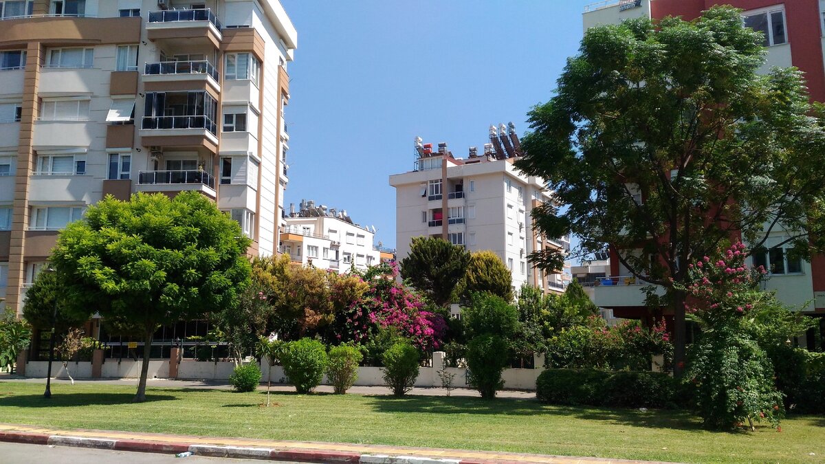 Любимый дворик