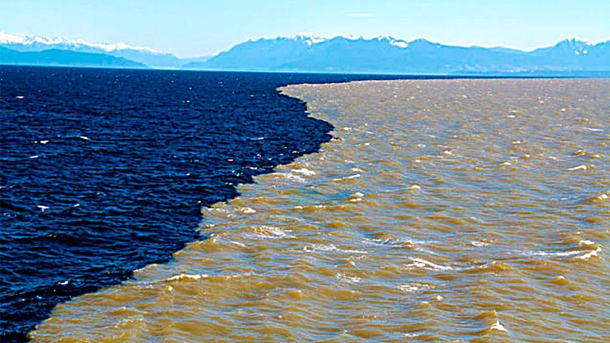 Это море не впадает ни одна река