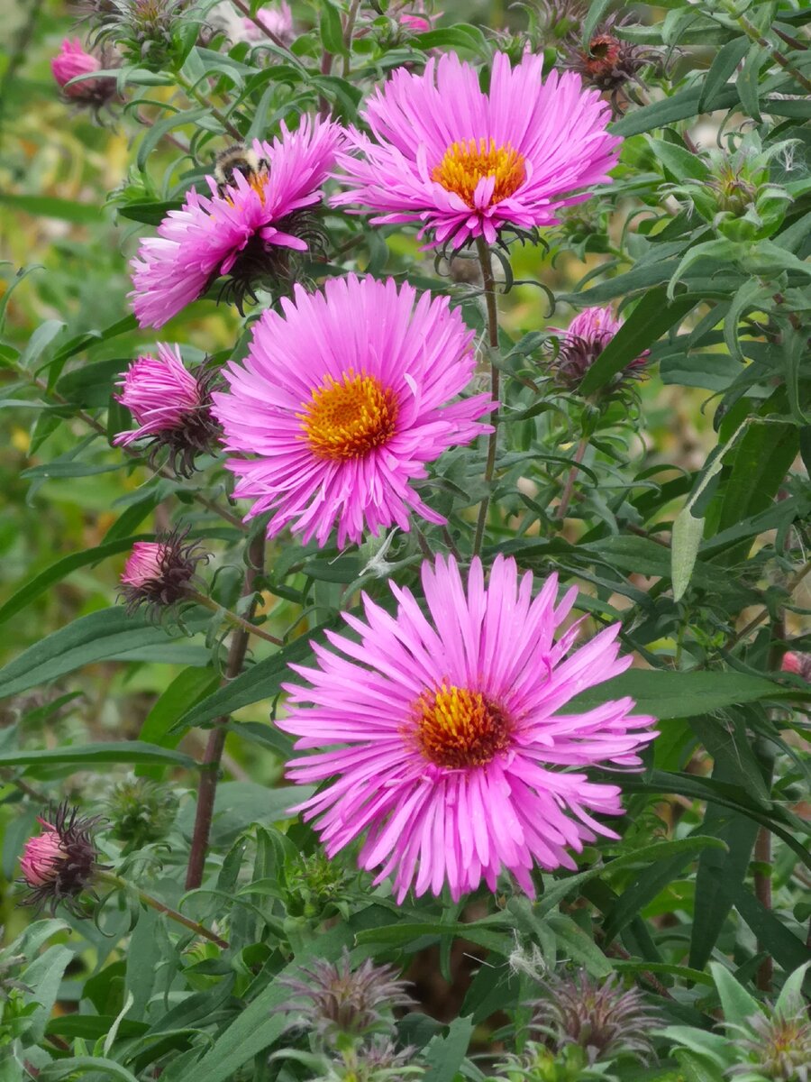 Личное фото для настроения. 