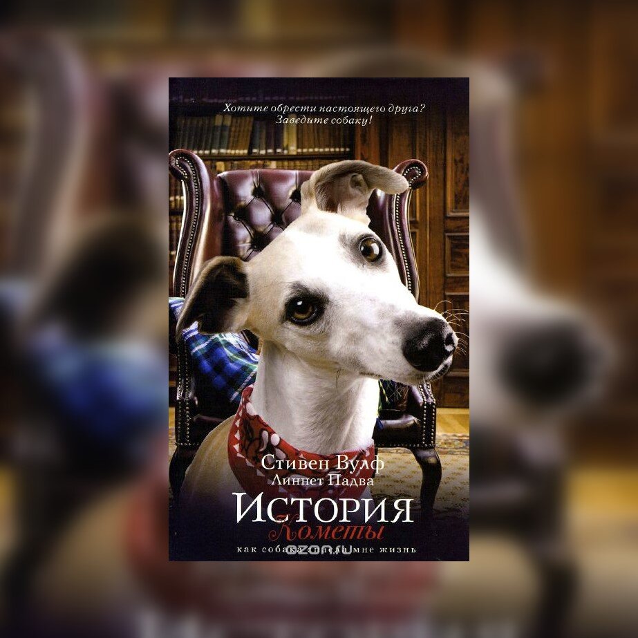 Лучшие книги про собак | Запах Книг | Дзен