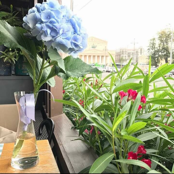 Прекрасный вид из ресторана "Bottega Siciliana"