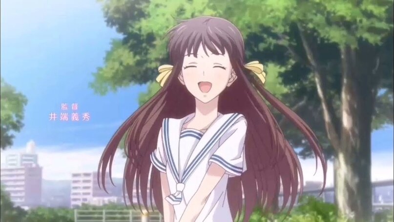 Тору Хонда, Корзинка фруктов
