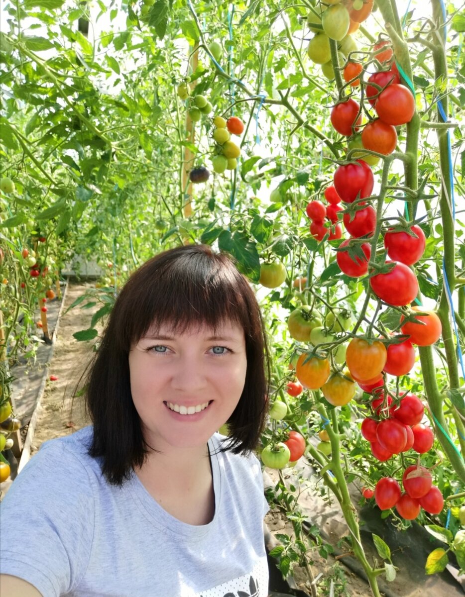Огородник из Рязани Ольга Фомичева сорта томатов