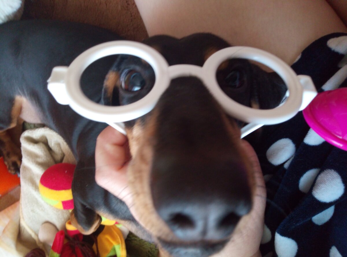                                                                              Фотография автора