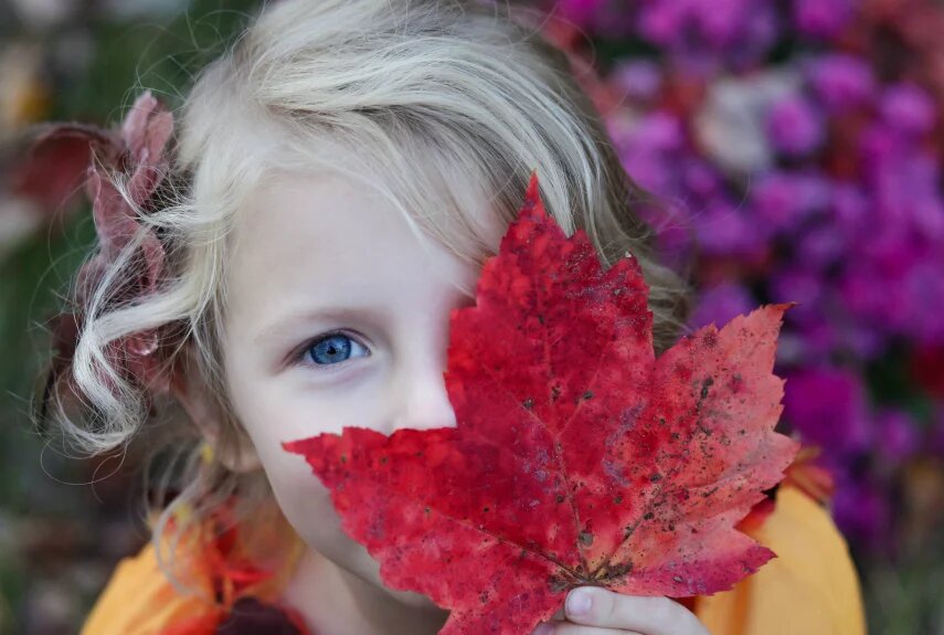 Фото: unsplash.com