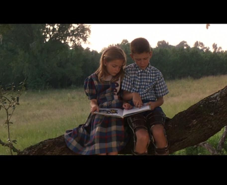 Только на один вопрос не смогла ответить: "Как он с такими ногами по деревьям лазил?"