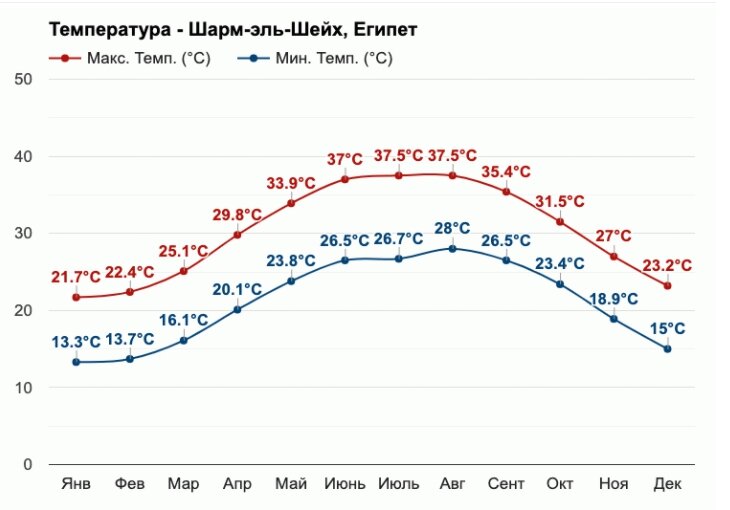 После дождичка в Египте... | Magic Egypt | Дзен