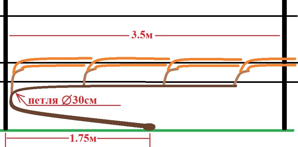 Горизонтальный кордон винограда схема и размеры