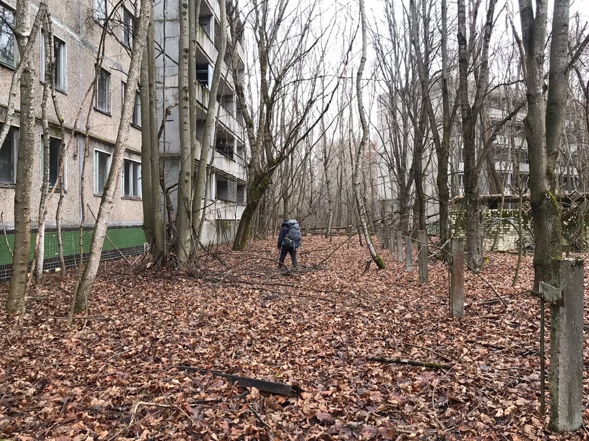 припять сегодняшний день