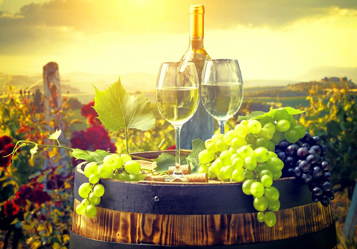 По данным министерства сельского хозяйства Краснодарского края в регионе работает 50 виноделен, на 19 из которых проходят экскурсии.