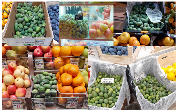 Выбор фейхоа огромен. Что выбрать? Коллаж автора 