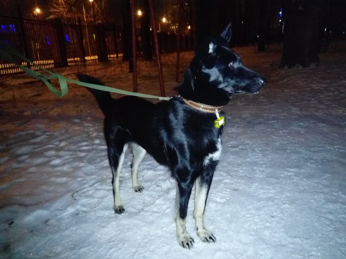 Дашка, 04.12.2020