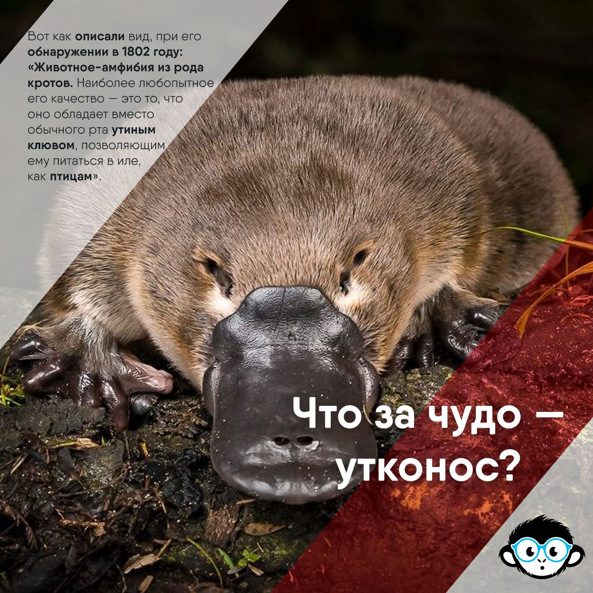 Источник фото: https://knowhow.pp.ua