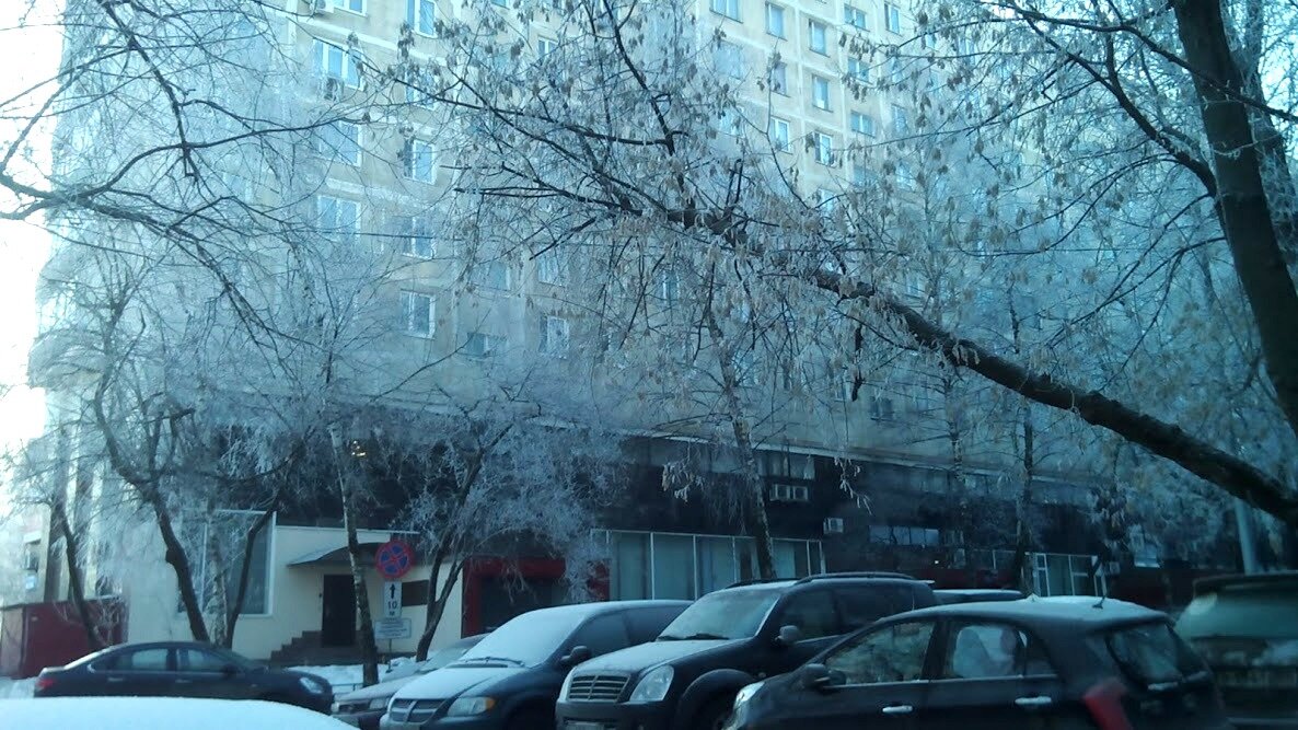 И снег люблю