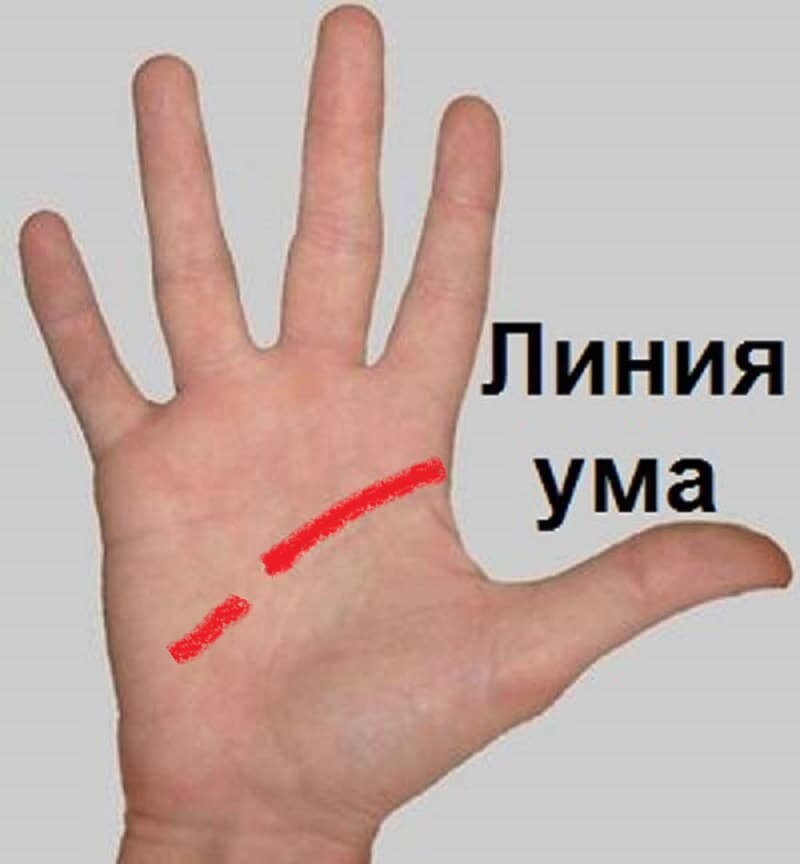 Прямой разрыв линии ума. Моя редакция , шаблон grand-kartini.ru