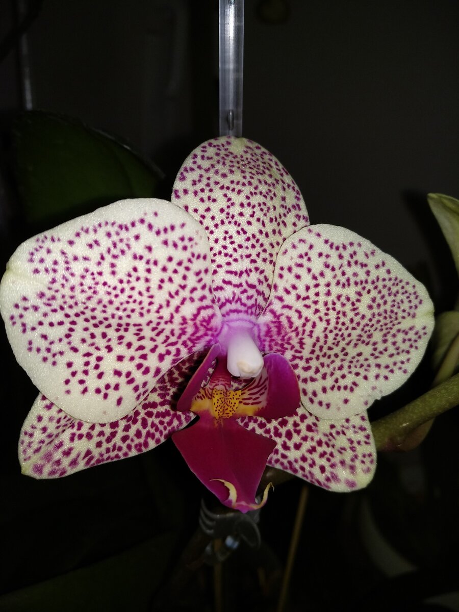 Фото из личного архива