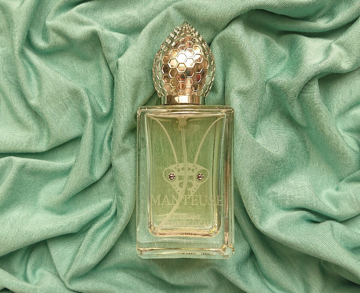 Фото принадлежит автору