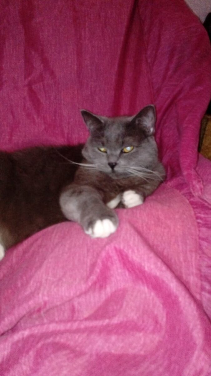 Наша Пропажа😓