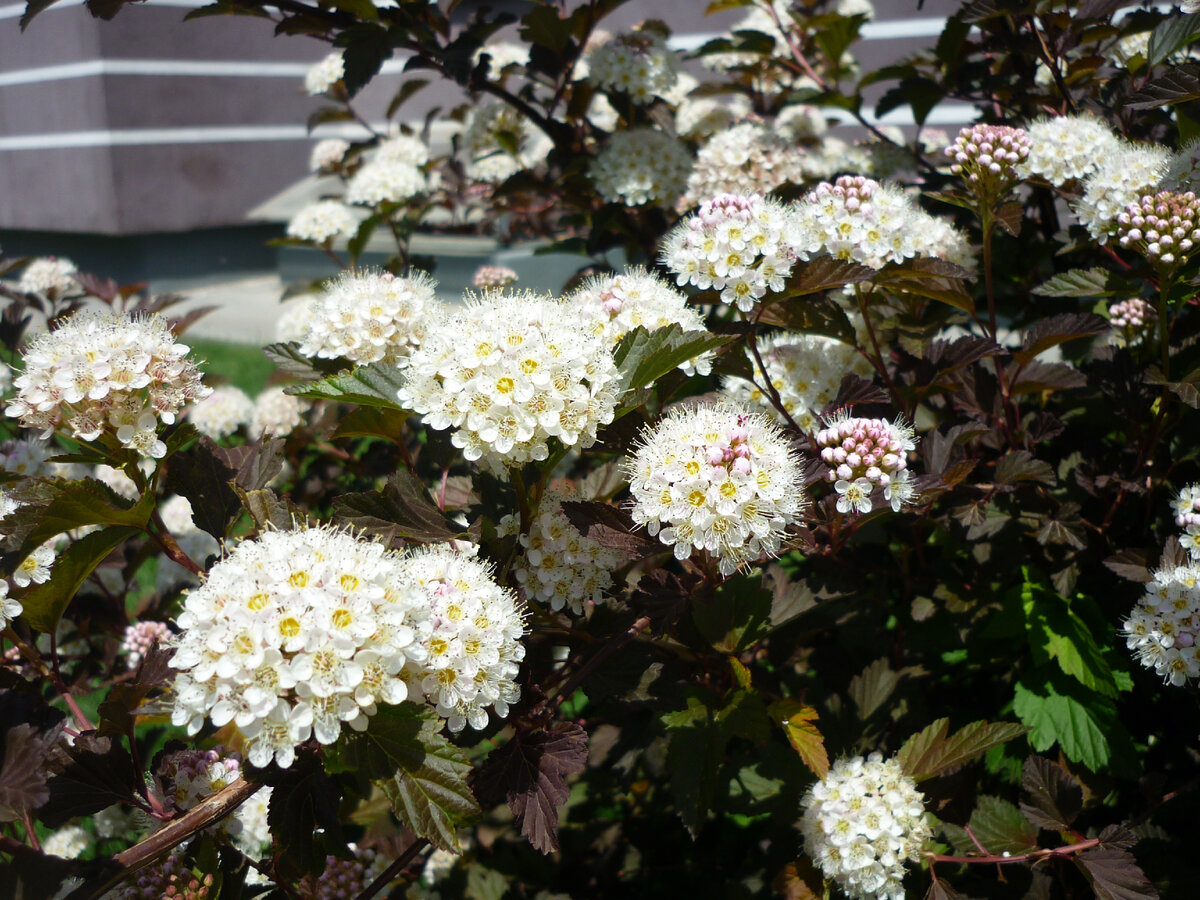 Тёмное прошлого!                                                                              Фото автора