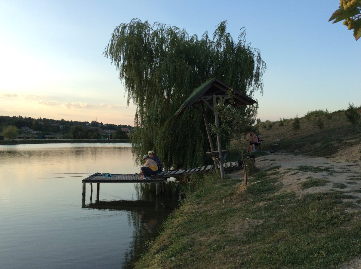 Дарьевский пруд таганрог база