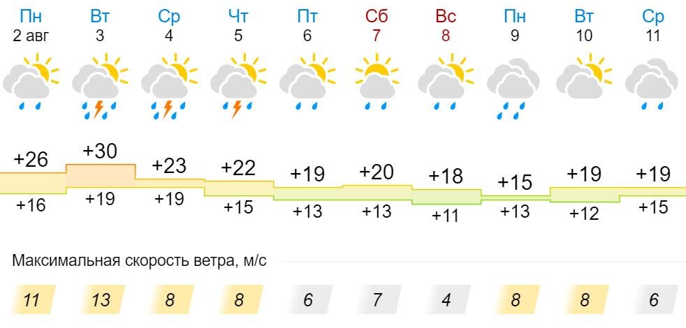 Погода в Кирове, Кировская область в августе 2024 - точный …