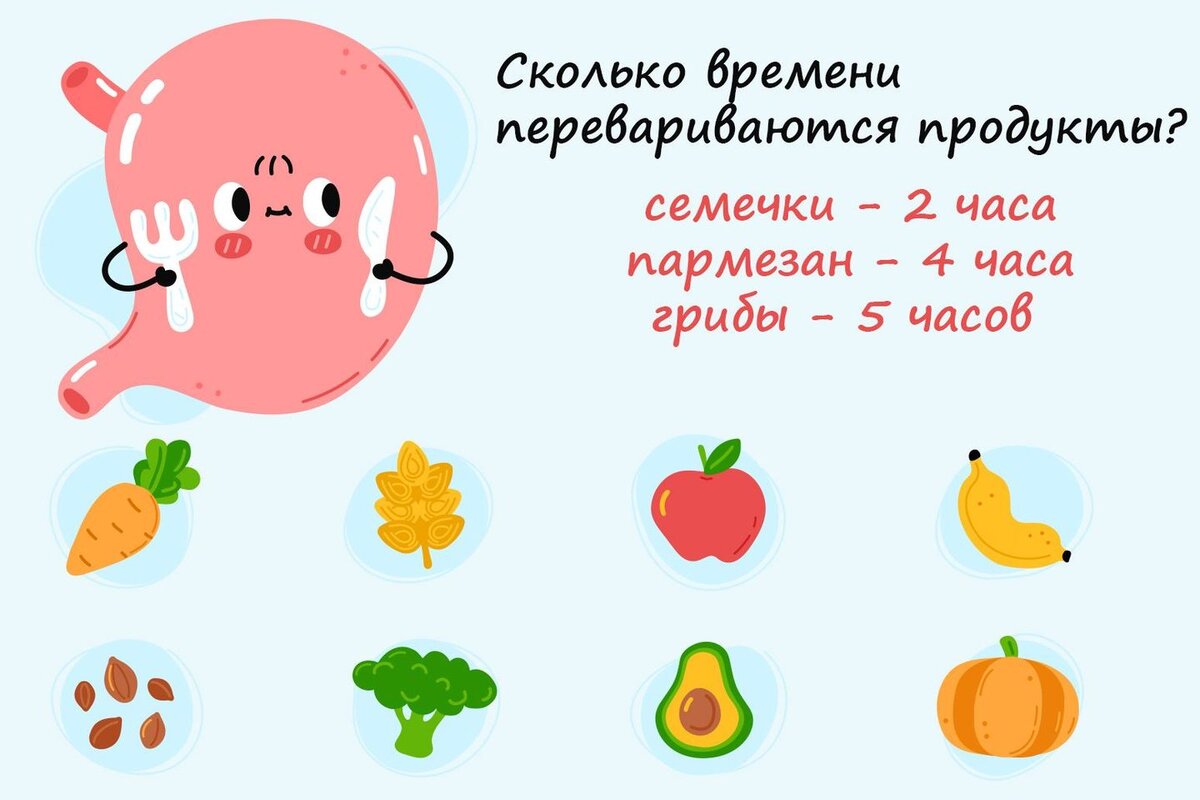 Время переваривания пищи в желудке (Таблица)