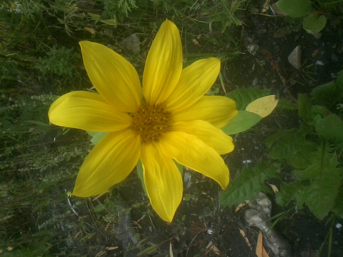 фото из личного архива