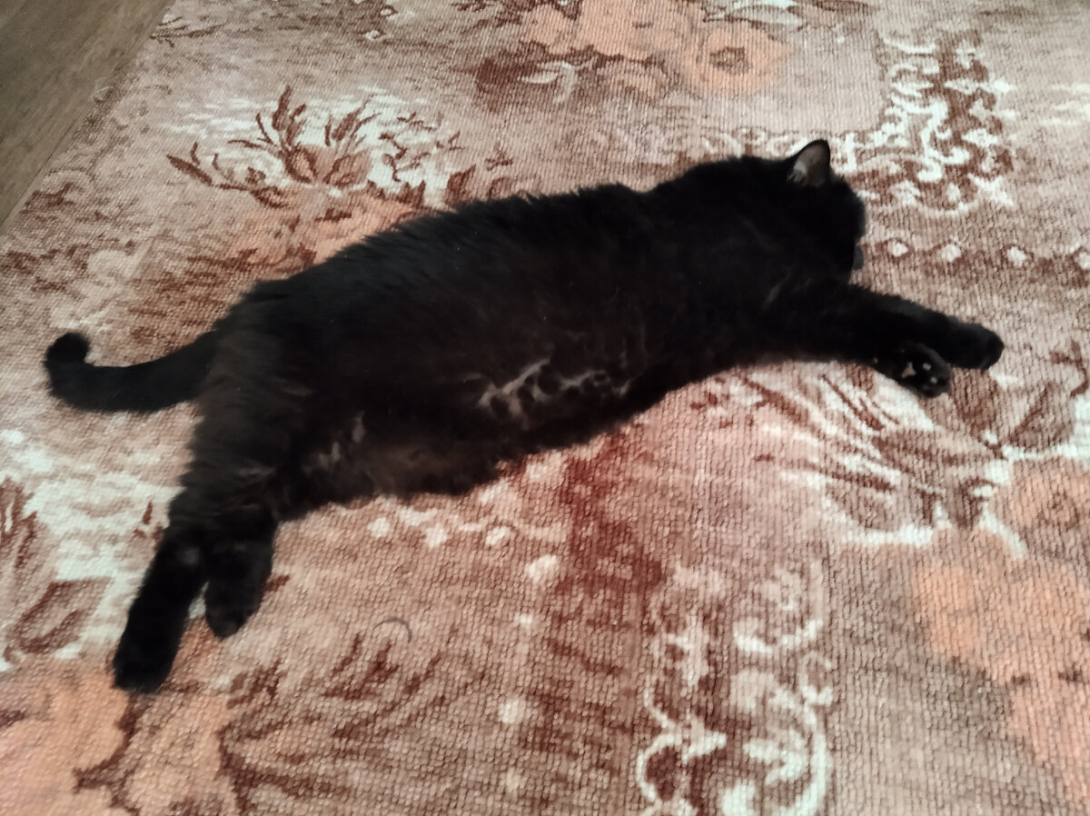 Вот как-то так