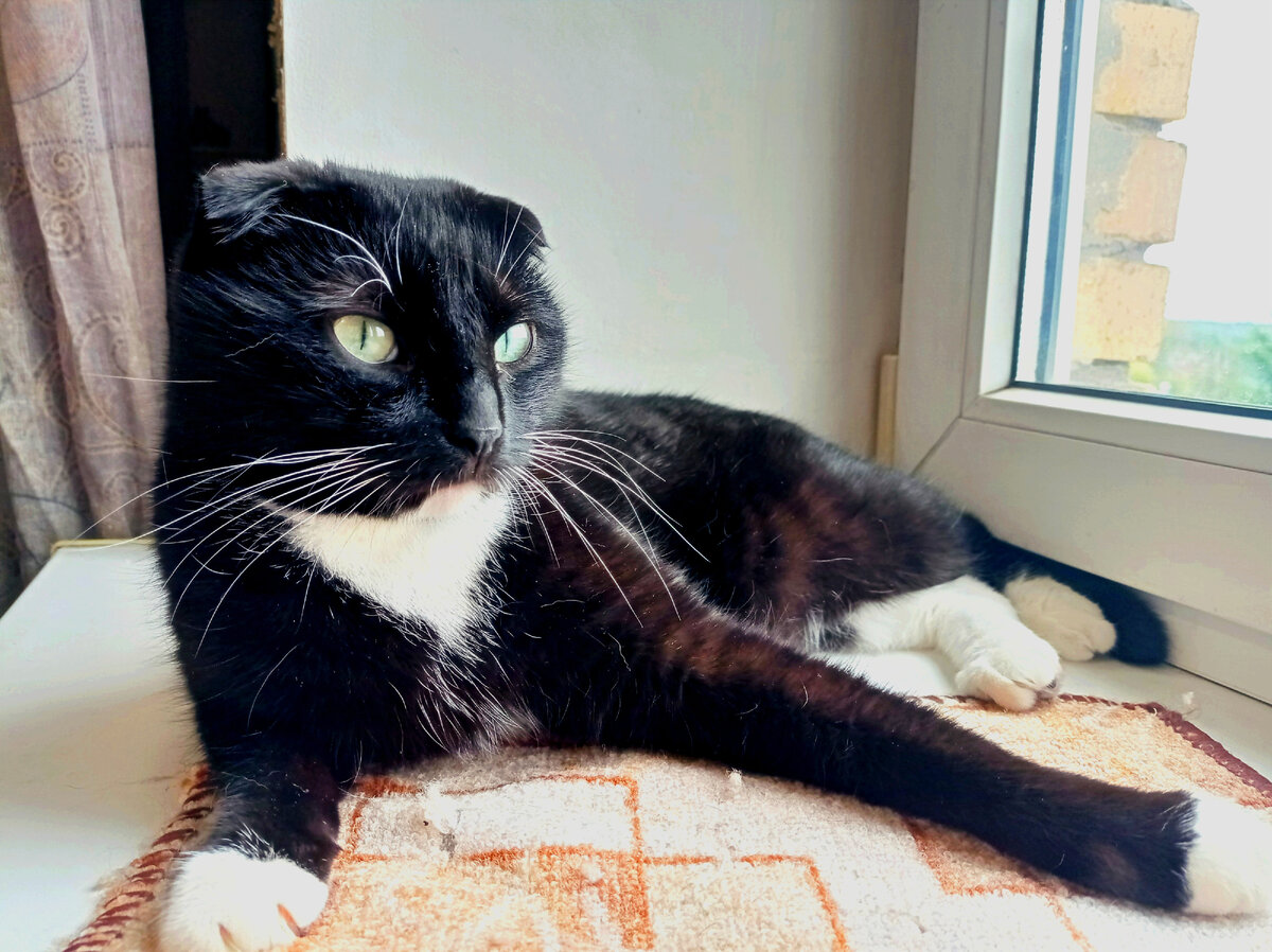 Суренчик, который живёт по-простому и его обеспечивают. 