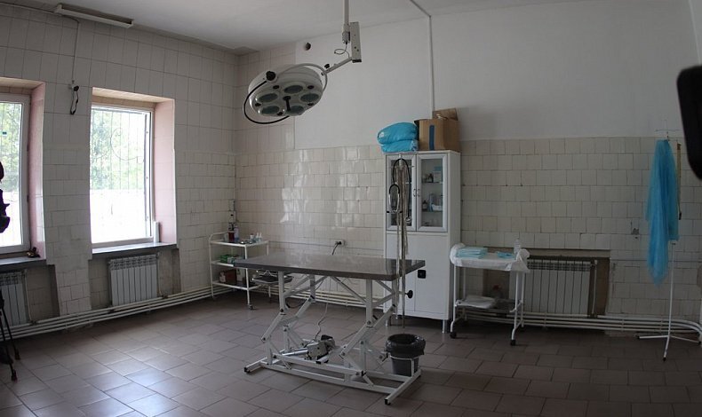 Фото: Тульская служба новостей