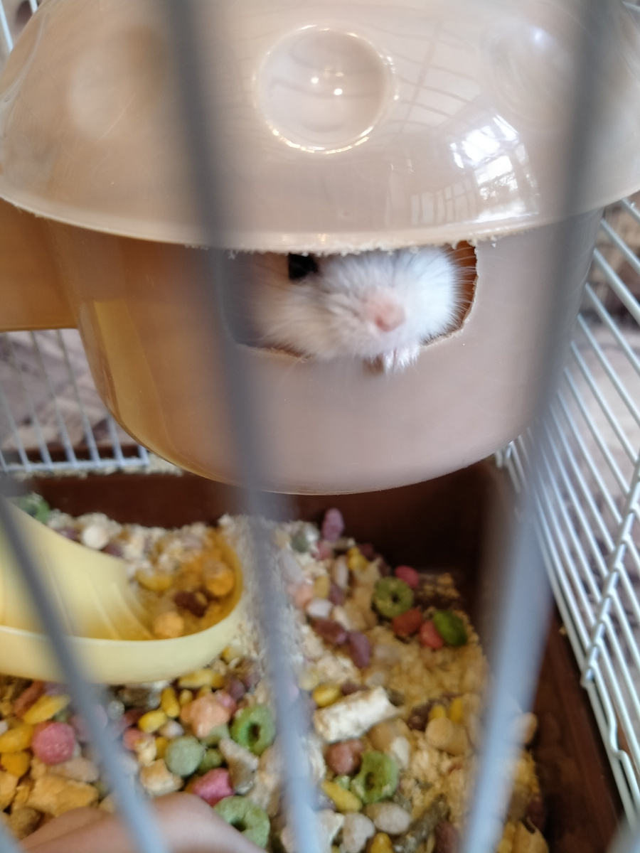 Играю в Секиро уже месяц, помогите!!!  Секиро: возраждаться дважды нет смысла... Не следи за количеством Сакэ, что ты выпил, главное то - оно откроет тебе глаза на проблемы и поможет начать их решать путем расслабления разума...