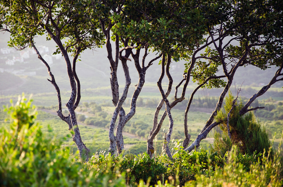 Фотограф Олег Смирнов